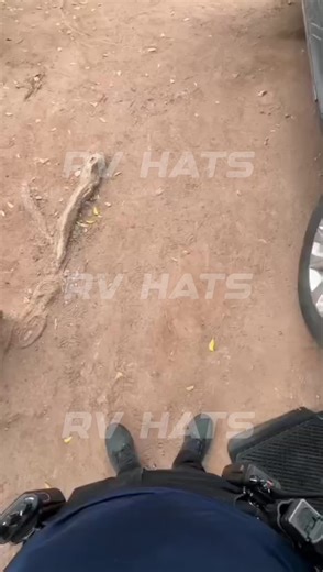 La Gorra del Viejo Panin: Un Icono del Grupo Feroz