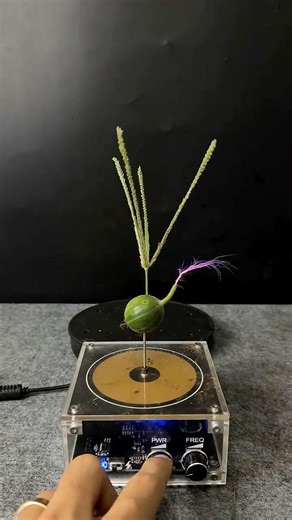 Tesla coil testing #experiment #teslacoil #shorts