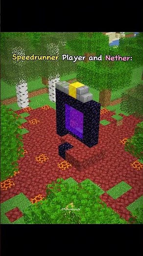 Minecraft Normal vs Speedrunner vs KeepInventory vs Hardcore Players Moment