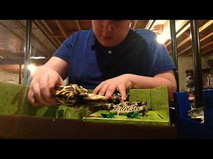 Animal Planet ultimate wildlife expedition giraffe set unboxing (VERY HARD!!)