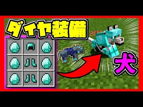 [マインクラフト] 犬に装備をつけられるmod！ [マイクラ実況] [mod紹介]
