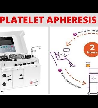 Platelet Apheresis #bloodbank #platelets #transfusion