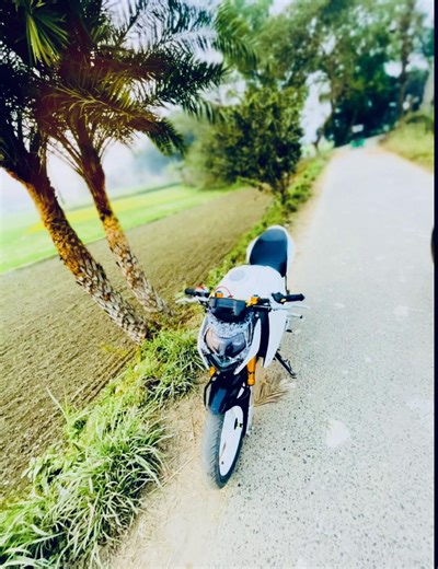 Exploring the Gp 4V Bike's Features and Performance