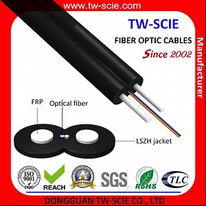 [Hot Item] FTTH Drop Fiber Optic Cable with G. 652D/G. 657A 1/2/4 Core LSZH