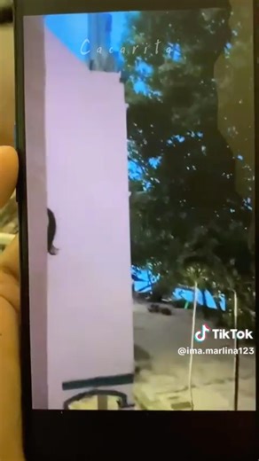 itu apa jon 😰 #horror #penampakan #shorts