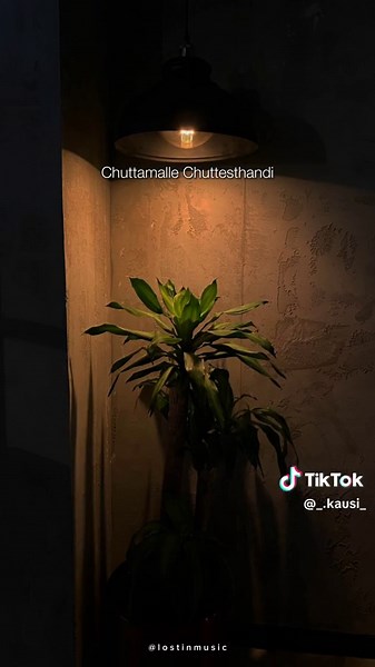 Chuttamalle Lyrics: Tamil & Telugu Song Inspiration