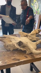 Dibujando cráneos pt.2! ✍🏼 | #art #arte #proceso #artschool #vlog #tutorial | Fatimasolanart