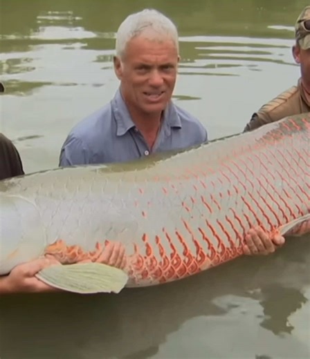 Arapaima? Check I guess #jeremywade #rivermonsters #arapaima #bigfish #fishing