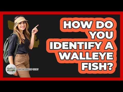 How Do You Identify A Walleye Fish?