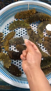 3.9M views · 703 shares | When you are poor to buy food but still can make it delicious | Ｈａｐｐｙシ | Facebook