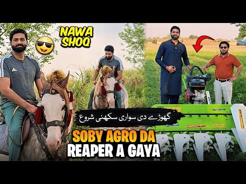 Horse Riding 🏇 | Reaper +mini tractor aa gya | Soby Agro | Dhillon dairy farm