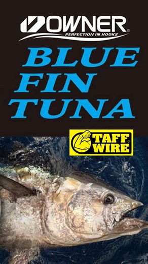 🚨 NEW: Owner Cultiva STX Treble Hooks 🎣🎣🎣 Cultiva STX hooks are engineered with precision and innovation to meet the demands of serious anglers. These premium JDM products bring top-tier tackle to your hands! Cultiva STX-71 Bluefin Tuna Hook (2025-2026 Limited Edition) 🎣 Extra-heavy wire for 100-200kg Bluefin 🎣 Curved point and short shank for deeper penetration and reliable hook hold 🎣 Designed based on 3 years of data on tackle performance, fish size, and angler skill Cultiva STX-60 Sti