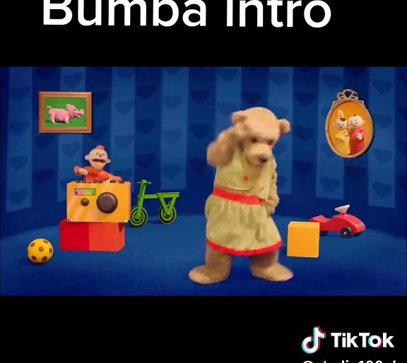 Studio100NL op TikTok