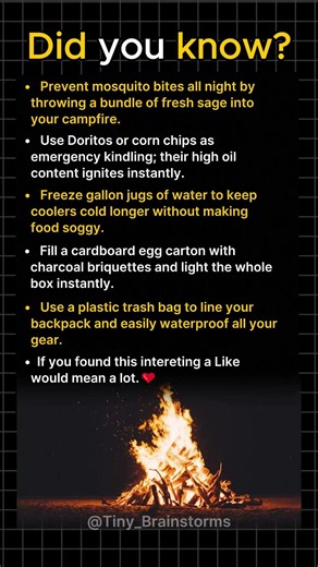 5 Camping Hacks That Feel Like Cheating
