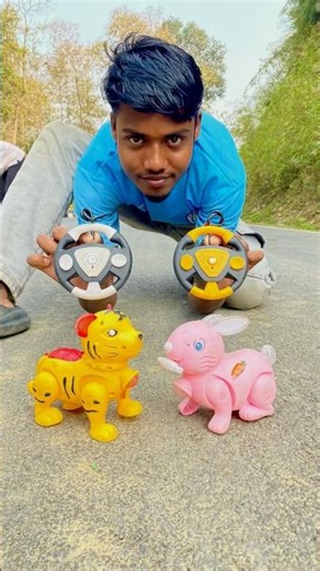 New remote control 2ta Rc Tiger Vs Rabbit unboxing Disi😱#shortsfeed