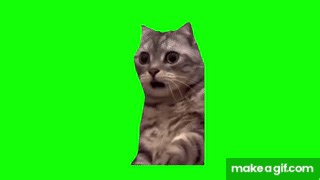 【猫ミーム 素材集① 40選】 (Cat meme green screen) on Make a GIF
