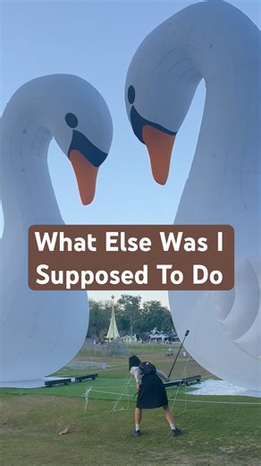 How To Film A Jump Shot From Above #insta360x4 #insta360 @insta360