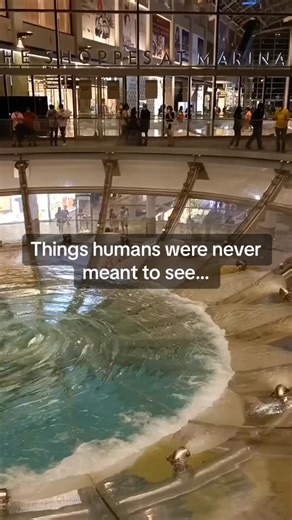 @infiniteawareness369 on Instagram: "Comment “wisdom” I’ll send you the link to get this book 📖✨ Use code “UNITY” for 30% off ends tonight ‼️🚨 #spiritualawakening #consciousness #god #spirituality #awakening"