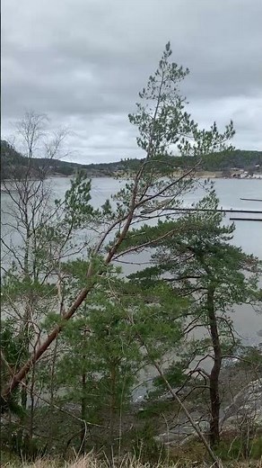 “Nordic Coastal Charm: The Views of Orust & Tjörn”