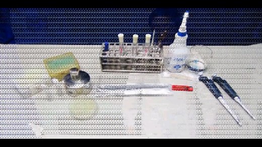 细菌生理生化鉴定API-20NE