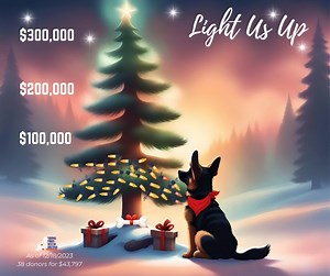 Last night we shared the lives of 5 boys that were saved by SPR and amazing adoptive families. They were able to live out their lives loved and cared for. That is our wish for every dog that enters the rescue. Our Merry Matching campaign is a giant step to being able to do that with funds for The Ranch. Our new total as of yesterday is $43, 797 from 38 donors! It's amazing but a long way from our goal. If you have been thinking about donating or thought maybe your budget has a few extra to donat