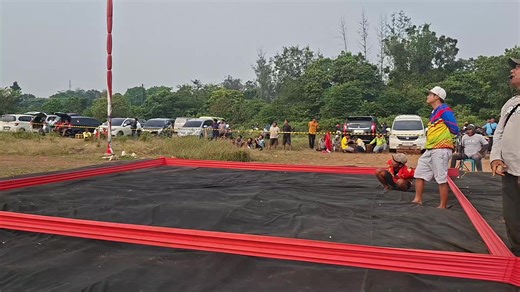 Botbot.pmtc on TikTok