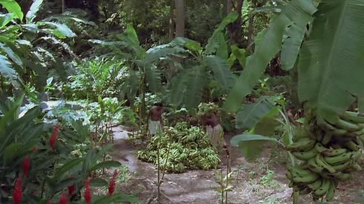 Banana Joe 1982 PL DVDRip
