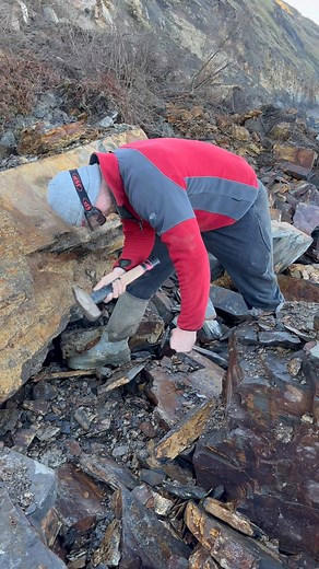 2M views · 104K reactions | Finding Ammonites, Marine Reptile and Coprolite fossils on the beach! | Yorkshire Fossils | Facebook