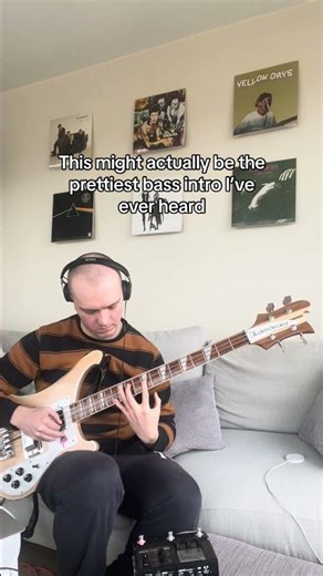Seemann - Rammstein bass cover #bassguitar #rammstein #bass #cover #basscover #bassist #rickenbacker