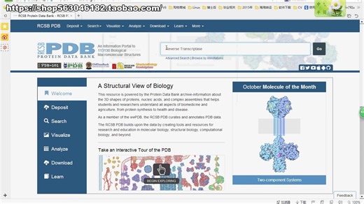 分子对接 docking 视频教程 autodock vina 完整版