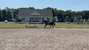 29 reactions | EXPECT MORE is a snuggly, well-behaved, big boy! He...