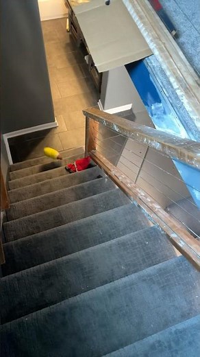 SpongeBob fell down the stairs!