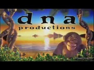 I Accidentally DNA Productions