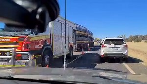 31K views · 149 reactions | A cattle truck has rolled over on the Warrego Highway at 10.03am this morning. Paramedics attended the scene but no one was hospitalised. www.7NEWS.com.au #7NEWS | 7NEWS Toowoomba | Facebook