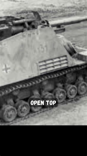 Nashorn - The Ultimate Glass Cannon #history #military