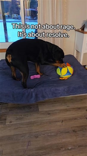 defiance collective fatigue unity over division clarity and accountability 2026 mindset shift spoken word reflection long form thought america future This is called Defiance, by @defiance13. Thank you for your words sir 😌 Not defiance against each other — but defiance against confusion, division, and exhaustion. 2025 felt like a decade because it was designed to wear people down. 2026 isn’t about spectatorship. It’s about resolve, clarity, and choosing to stay. If you’re tired too, listen all t