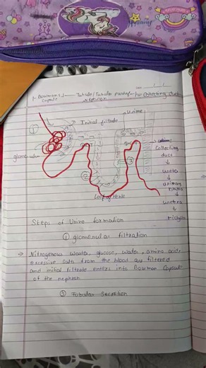 class 10 cbse important notes to 10 boards science bio chapter 1 the life process chapter end 🔚