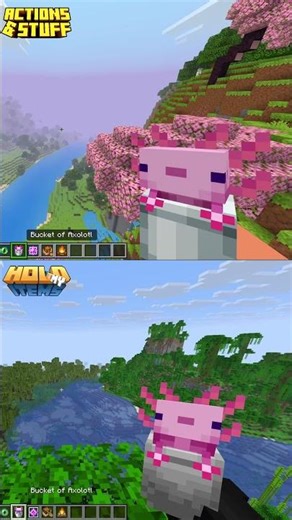 Minecraft Actions And Stuff VS Hold My Items #minecraft #shorts