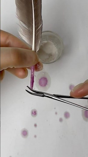 Broken Blood Feathers! 🩸😱#goodtoknow #funfacts #surgeonlife #vet #medicine #funfact #surgeon #hack