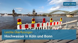 In Köln und Bonn führt der Rhein Hochwasser. Aber alles kein Drama… Wie sieht es bei euch aus? #Wetter #Hochwasser #Köln | WetterOnline