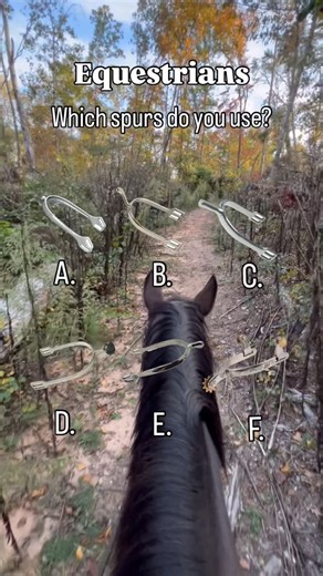 Anthony A on Instagram: "Which spurs do you use? Follow along as I learn how to ride and reach my goal of jumping a one meter. All feedback is welcomed and greatly appreciated😁 __________________________________________ #equestrian #equstrianstyle #equestriansport #equestrianblog #equestrianblogger #equestrianrider #equestrianofinstagram #equestrianbegginings #equestrianboots #horsebackriding #horsebackridinglessons #equestrianlessons #englishriding #englishrider #equestrianmale #equestr