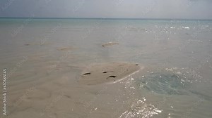 Sandy Sea Floor Exposed Through Clear Waters At White Sand Beach During Low Tide. static