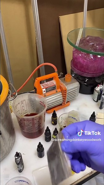 The Donkey on TikTok