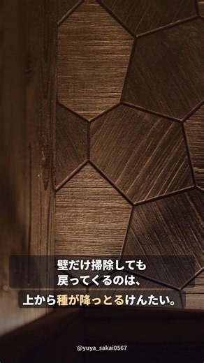 風呂のカビが天井から生える理由