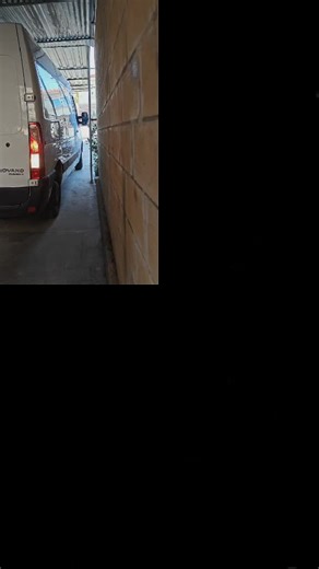 Strelitzia Flower: Discovering Limassol's Floral Beauty