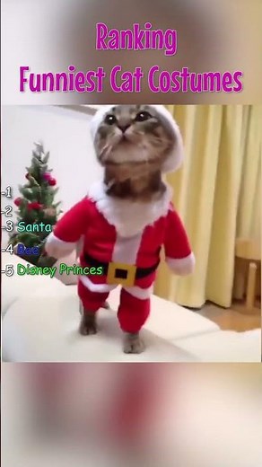 Ranking Funniest Cat Costumes Ever! (Best of 2025 Compilation) 😹