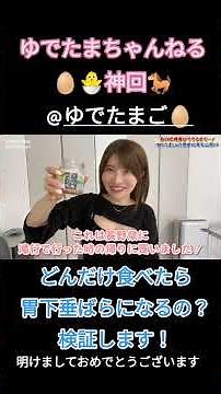 ゆでたまちゃんねる🥚🐣神回 【検証動画】 どんだけ食べたら胃下垂腹になるのか検証します！ ゆでたまご🥚普及活動中です🐶 #ゆでたまご #ゆでたまちゃんねる #youtube #胃下垂 #検証