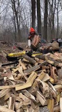 Splitting firewood #wood #firewood #fire #woodworking #cold #bushcraft #campfire #hustlebilly