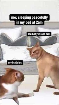 “Postpartum Nutrition Tips: Regain Energy & Support Recovery After Birth”