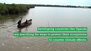 Uganda has lost over 30% of its wetlands. Ugandans living near wetlands are on a mission to protect the natural world that protects them. The Green Climate Fund has given us USD $24 million to restore wetlands in Uganda. Over four million Ugandans live next to wetland areas.Healthy wetlands protect these communities from floods and provide them with cleanwater, food, and income. Read more in this story: https://bit.ly/2OIgVre | United Nations Development Programme - UNDP